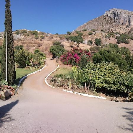 Finca Santa Matilde Málaga Exteriör bild