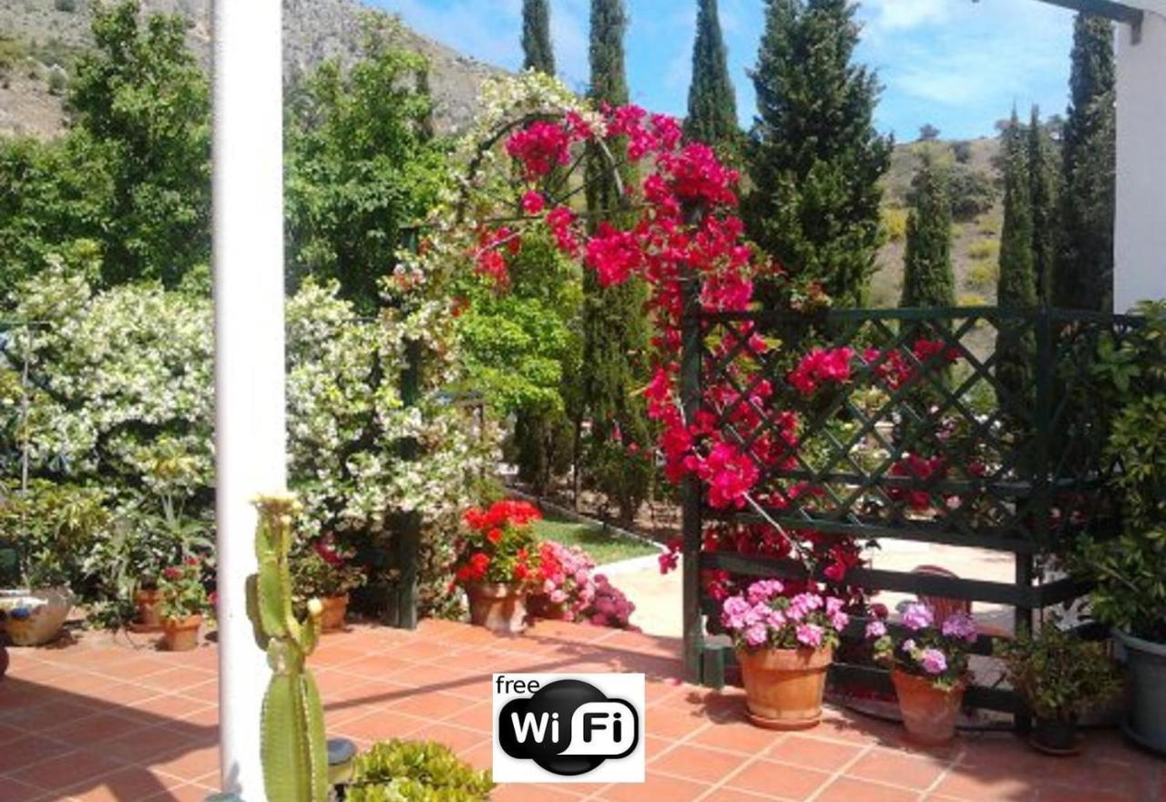 Finca Santa Matilde Málaga Exteriör bild
