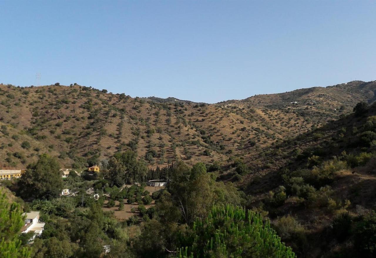 Finca Santa Matilde Málaga Exteriör bild