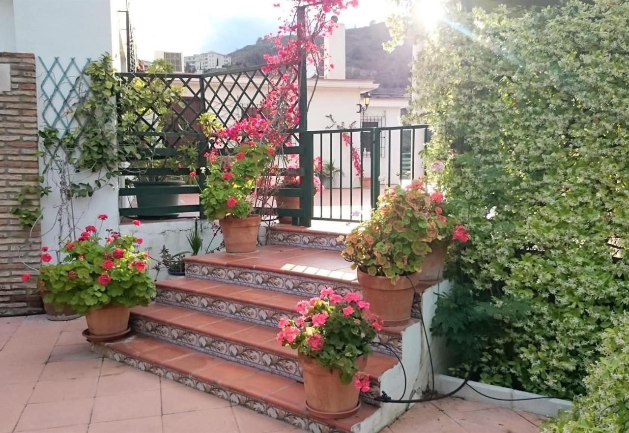 Finca Santa Matilde Málaga Exteriör bild