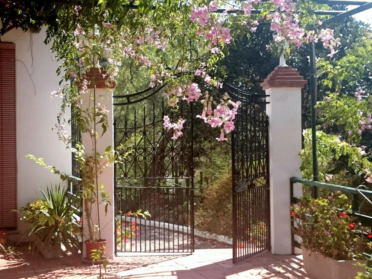 Finca Santa Matilde Málaga Exteriör bild