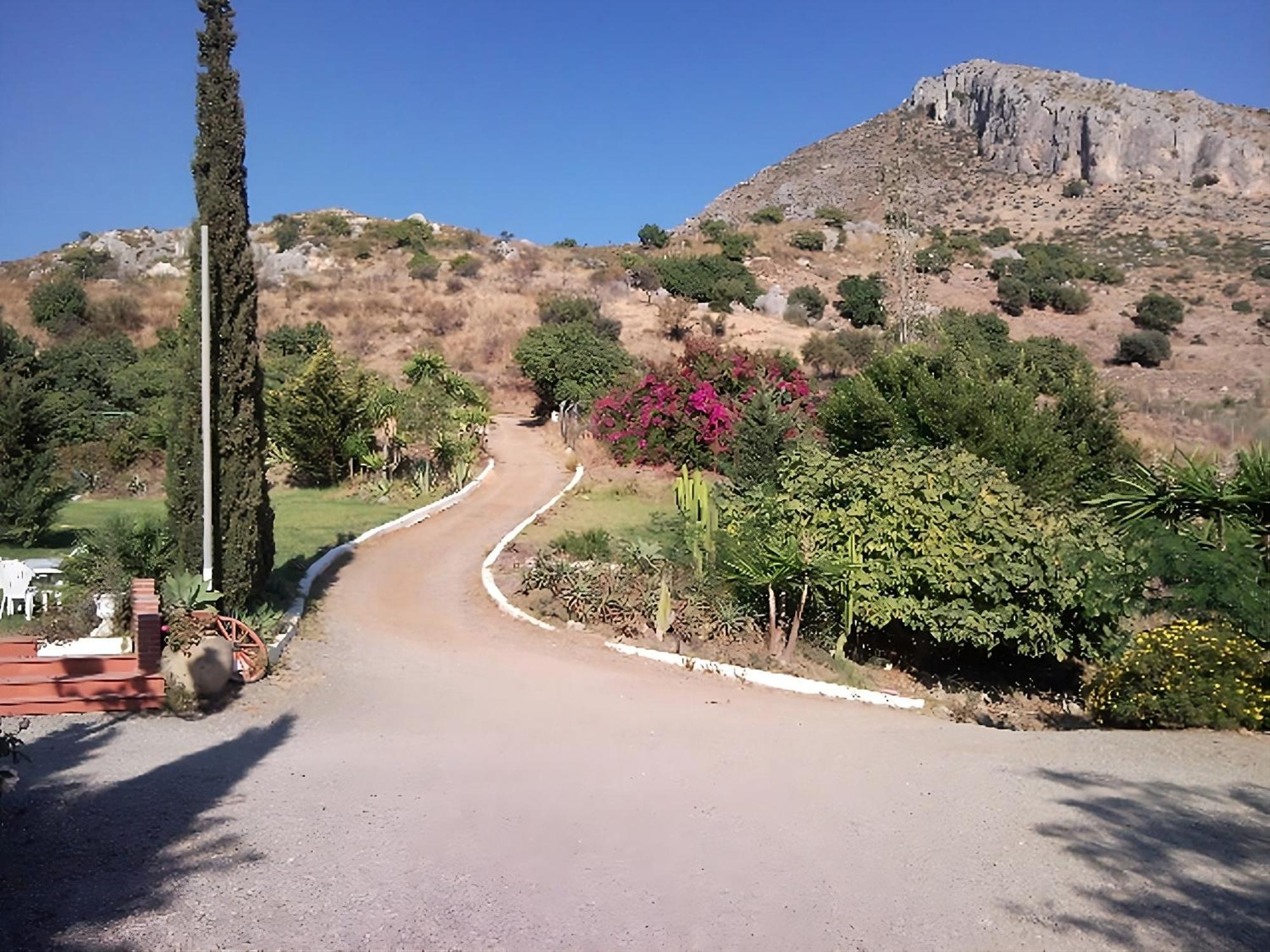 Finca Santa Matilde Málaga Exteriör bild